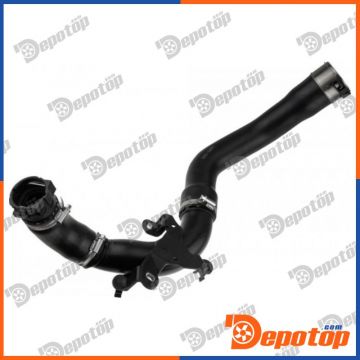 Gaine de suralimentation pour RENAULT | GPP-RE-099, 2400610
